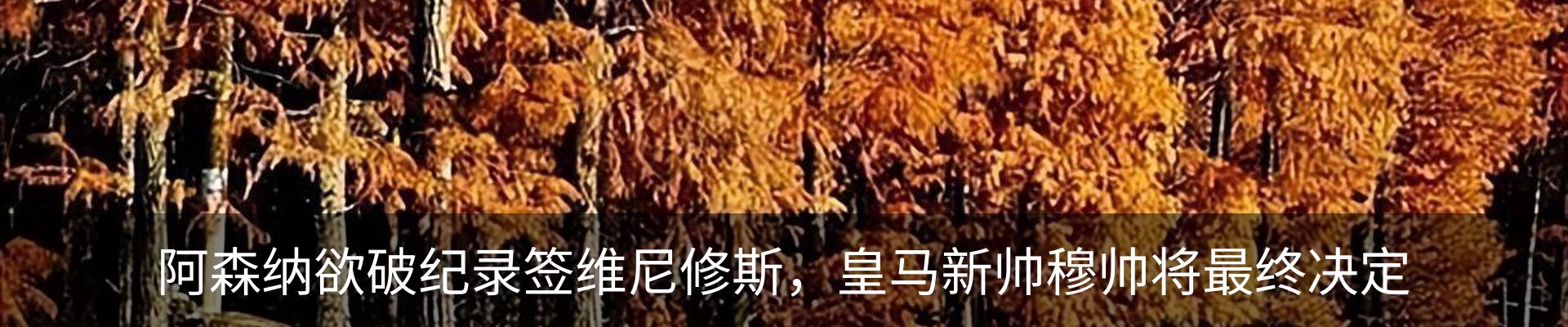 新闻中心