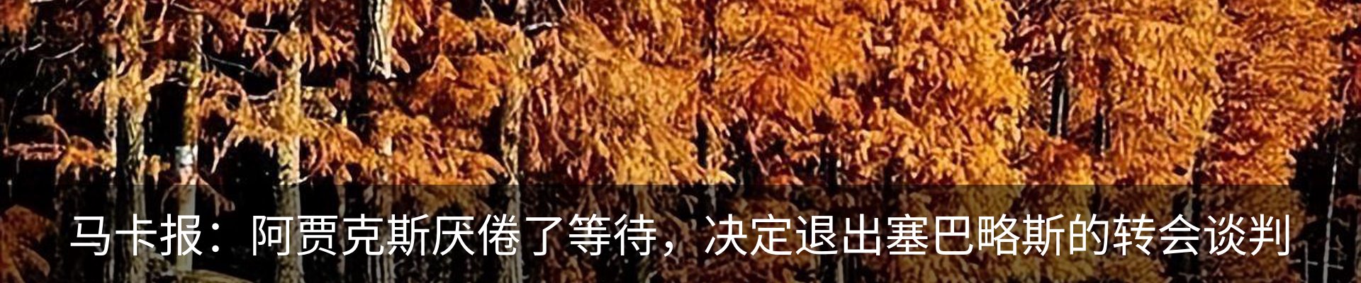 新闻中心