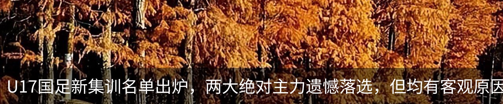 新闻中心